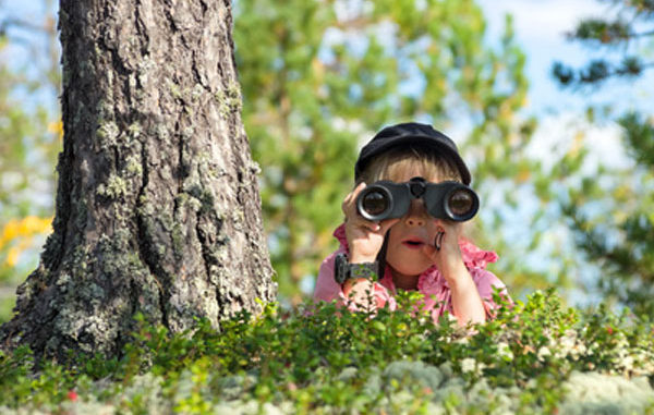 moll Gesundes Lernen - Natur - Kinder - beobachten Wald, Tiere, Pflanzen, Bäume, Fernglas