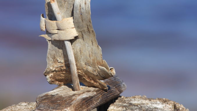 Segelboot Schiffchen Rindenboot