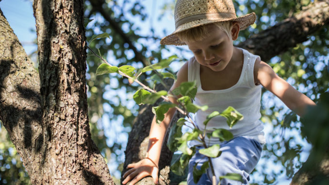Outdoor portrait: Little boy with straw hat climbing a tree