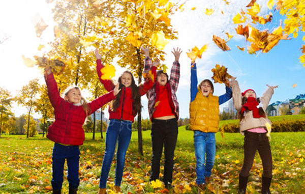 moll Gesundes Lernen - Bewegung - Kinder - Herbst Bäume, Blätter, Wald, spielen