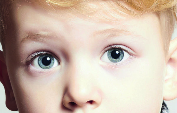 moll Gesundes Lernen - Augen - wahrnehmen - Kinder Licht, Helligkeit, Schreibtischleuchte moll