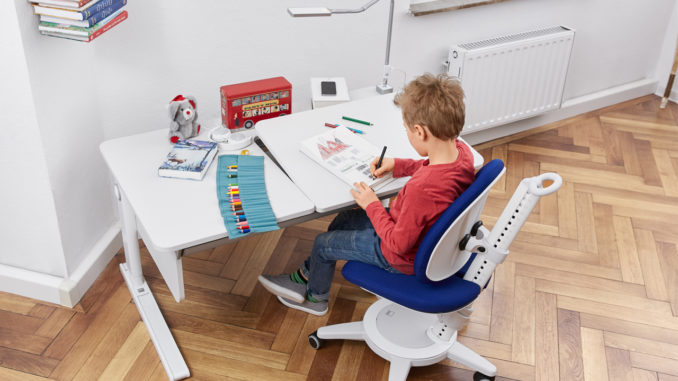 Somatische_Intelligenz